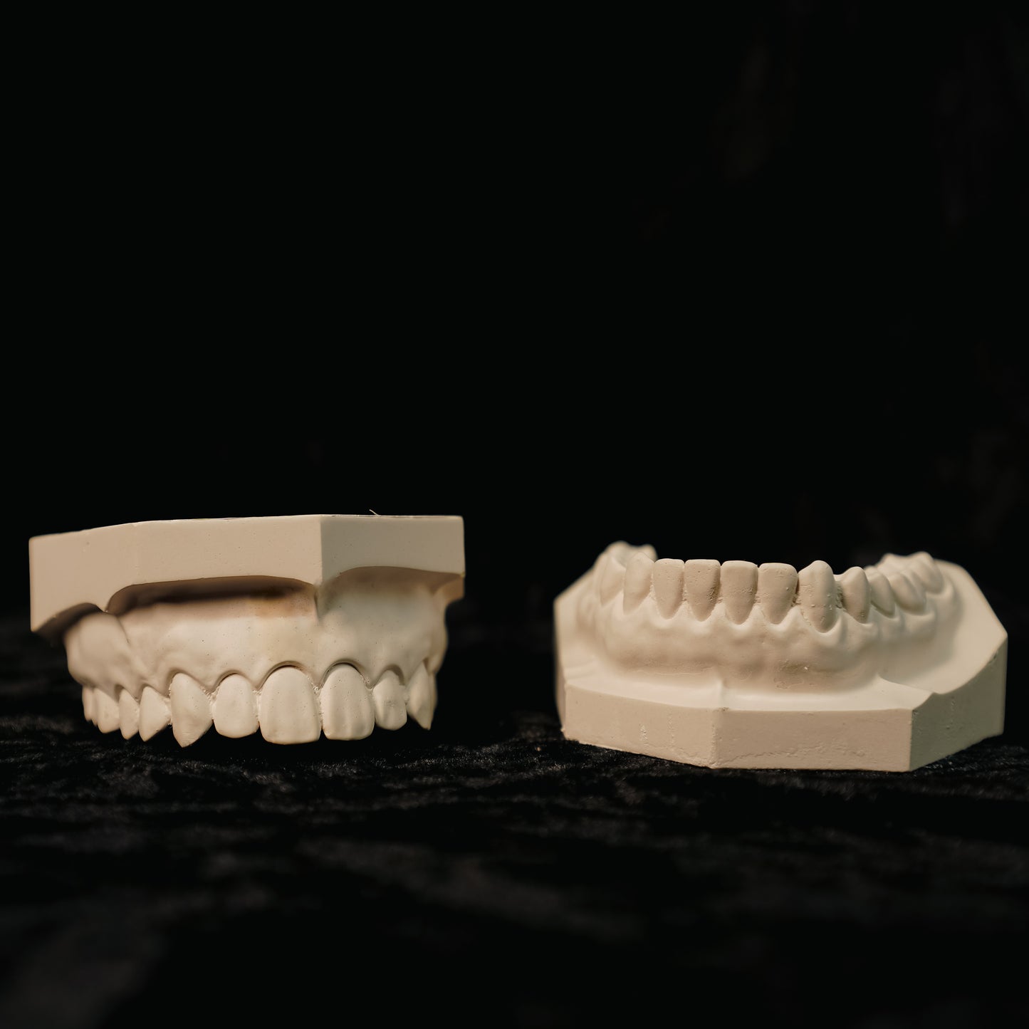 Dental Stone Jaw Model