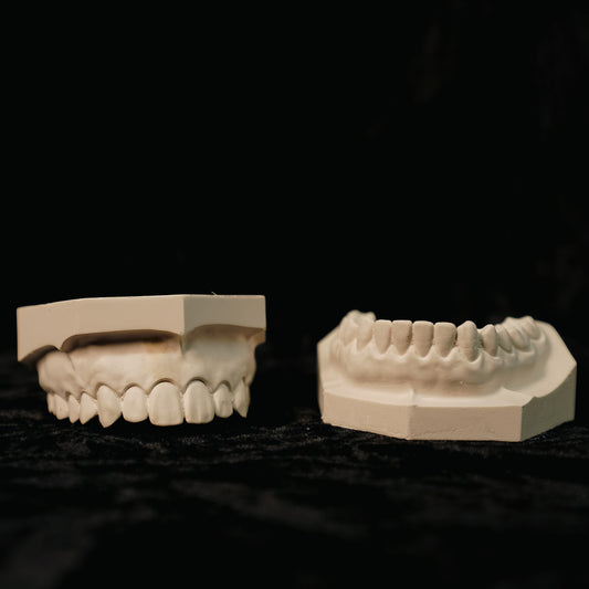 Dental Stone Jaw Model